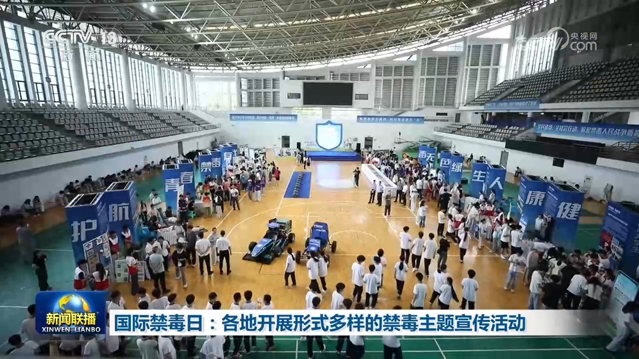 文章模仿向佐动作