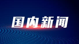 文章模仿向佐动作