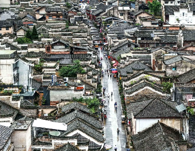旅美大熊猫一家今晚抵达成都