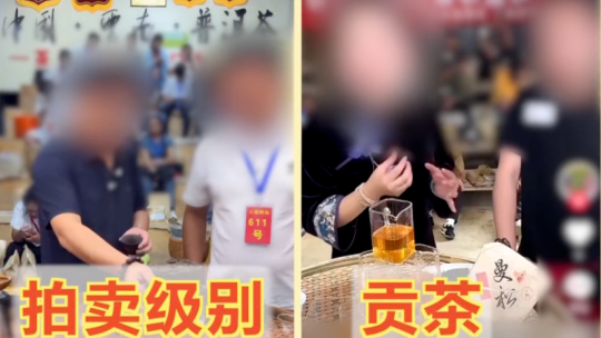 任敏我的互联网新妹宝