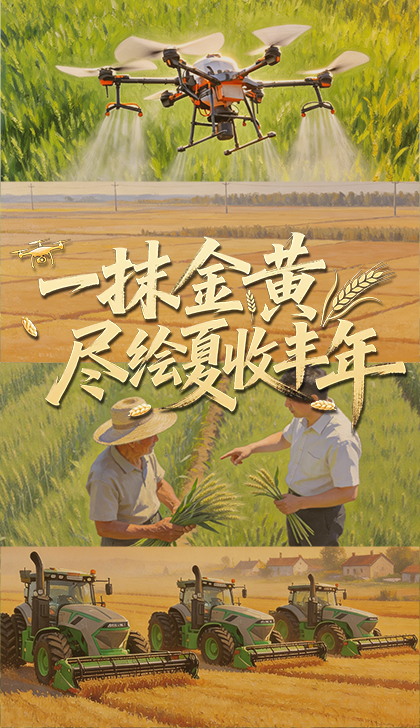 两岸太极爱好者同台切磋弘扬国粹