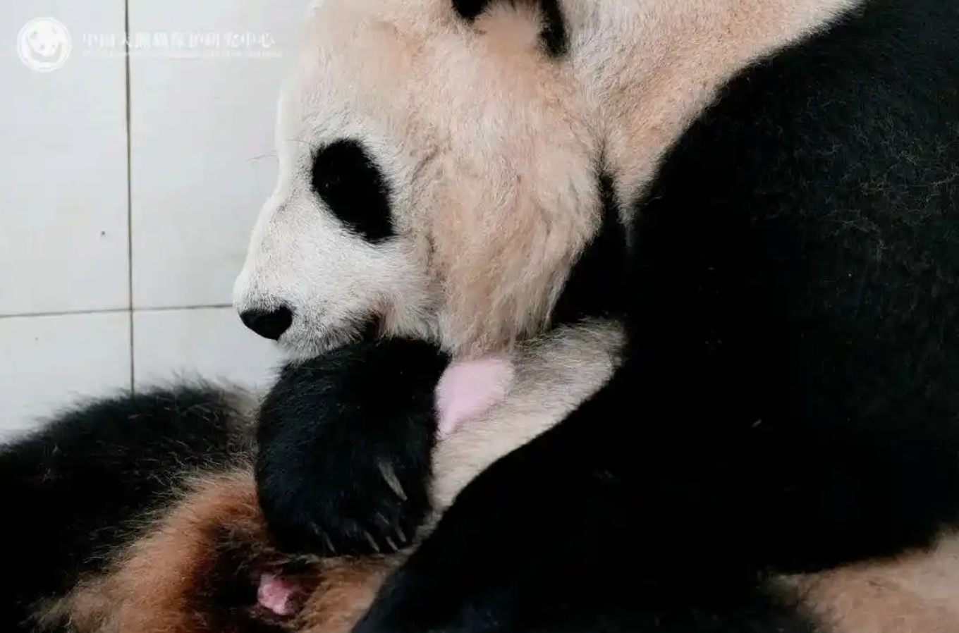 学习手记｜精打细算用好每一寸土地