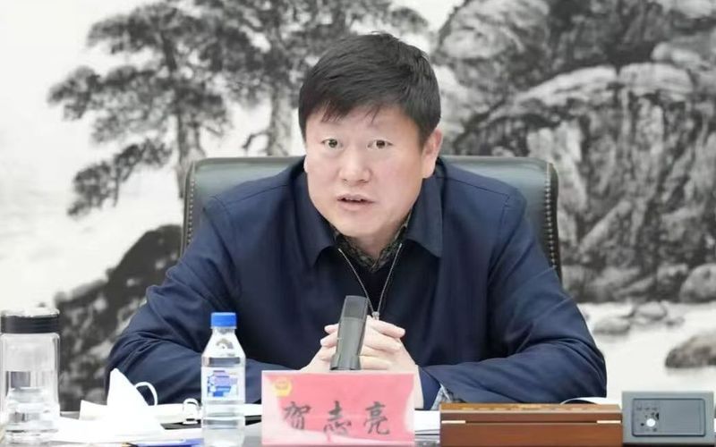 走出国产芯片技术第三条路