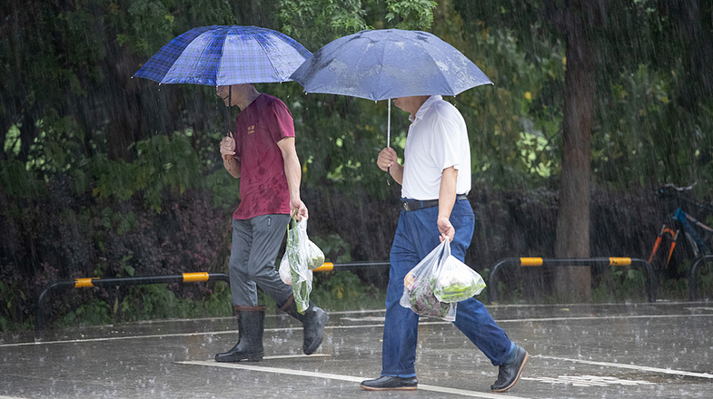 跨界营销助推盐碱产品走红