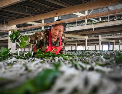 杜华你不火还怪我又不是我不火
