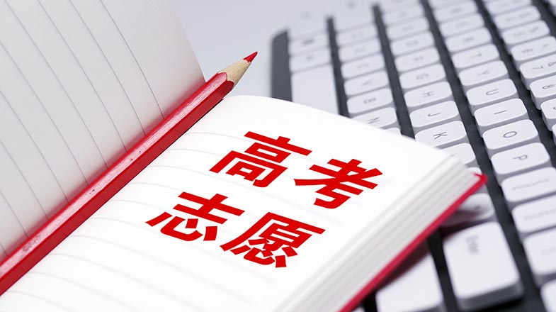 咖香飘四海 侨乡浙江青田咖啡产业提质拓市场